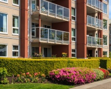 Multi-Family Residential