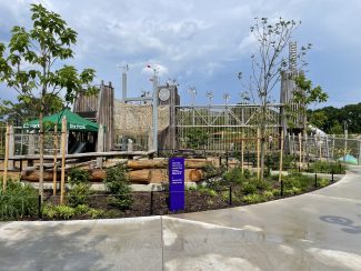 Building Community Through Play: Gipson Play Plaza at Dorothea Dix Park